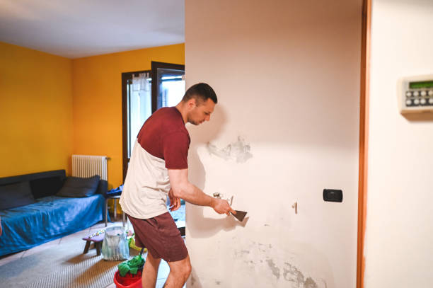 Best Kitchen Mold Remediation in Mayflower, AR
