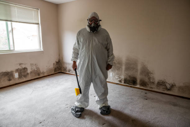 Best Bathroom Mold Remediation in Mayflower, AR